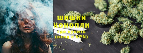 прущие грибы Карталы